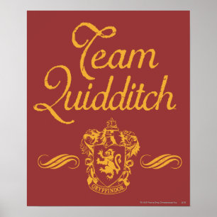Harry Potter   Team QUIDDITCH™ Poster