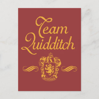 Harry Potter | Team QUIDDITCH™ Postkarte