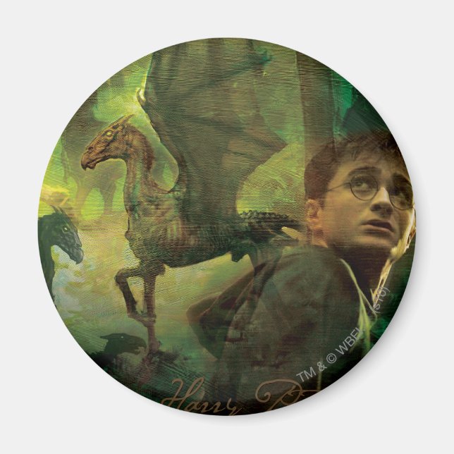 Harry Potter Thestrals Magnet (Vorne)