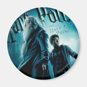 Harry Potter und Dumbledore auf Felsen 1 Magnet