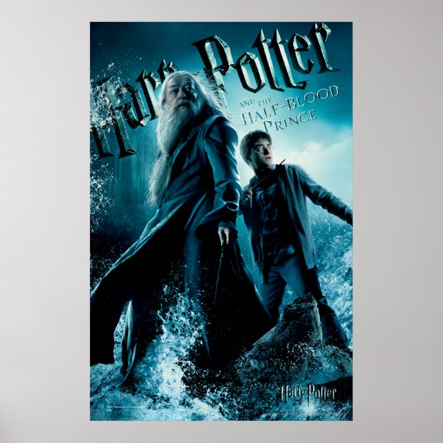 Harry Potter und Dumbledore auf Felsen 1 Poster (Vorne)