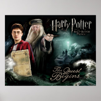 Harry Potter und Dumbledore Poster