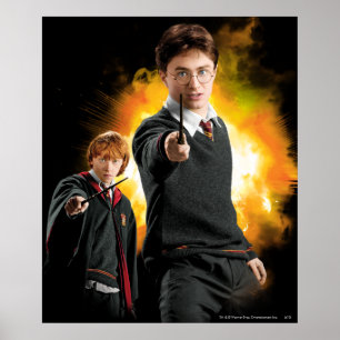 Harry Potter und Ron Weasely Poster