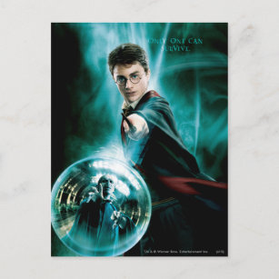 Harry Potter und Voldemort nur einer kann überlebe Postkarte
