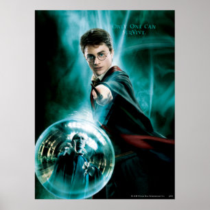 Harry Potter und Voldemort nur man können Poster