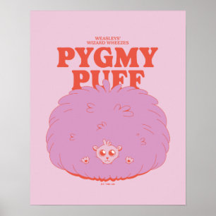 HARRY POTTER™   Weasleys Wizard Pygmy Puff Poster