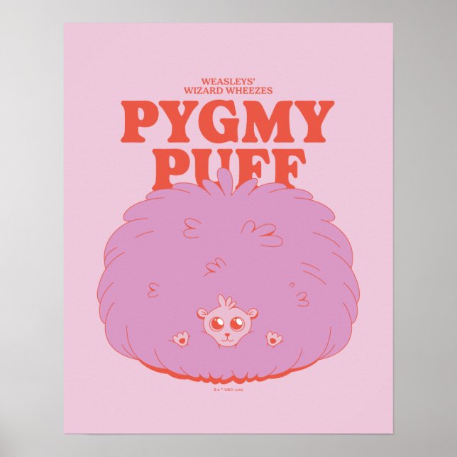 HARRY POTTER™ | Weasleys Wizard Pygmy Puff Poster (Vorne)