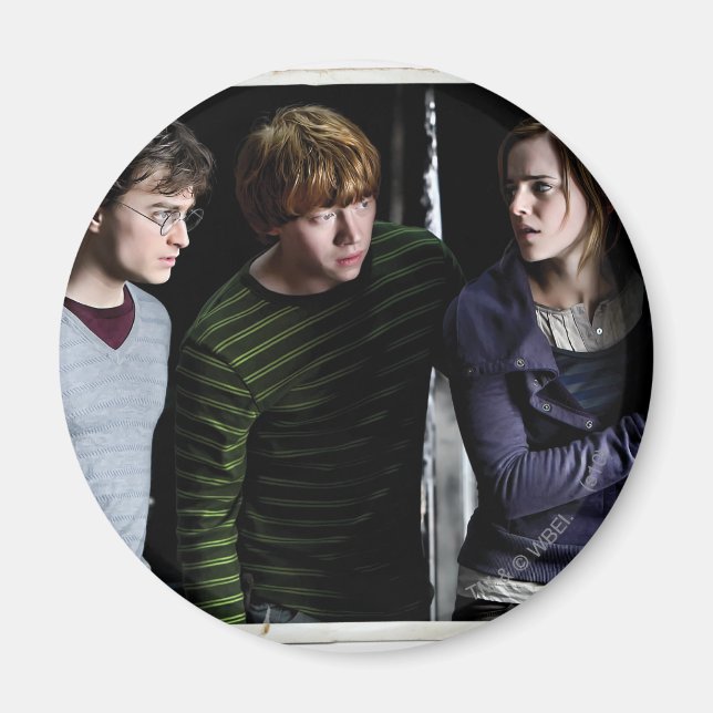 Harry, Ron und Hermione 4 Magnet (Vorne)