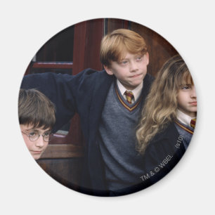 Harry, Ron und Hermione Magnet