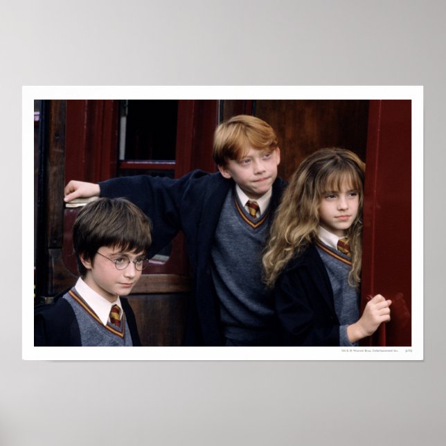 Harry, Ron und Hermione Poster (Vorne)