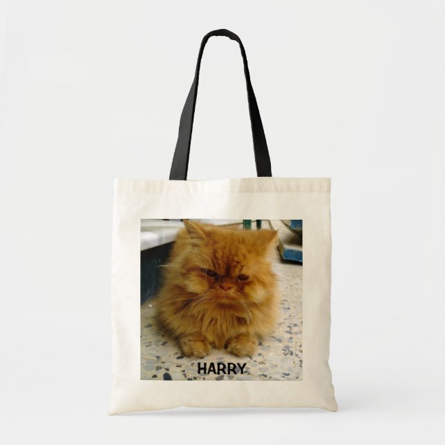 HARRY-TASCHEN-TASCHE TRAGETASCHE (Vorne)