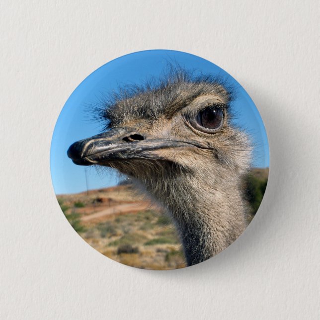 Harry the Happy Ostrich Button (Vorderseite)