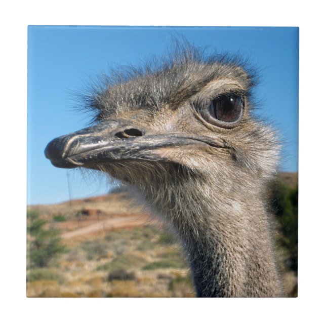 Harry the Happy Ostrich Fliese (Vorderseite)