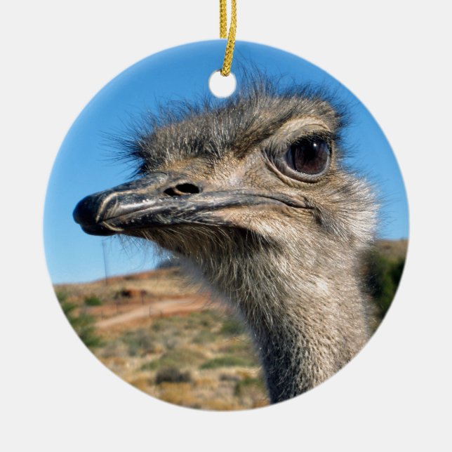 Harry the Happy Ostrich Keramik Ornament (Vorne)