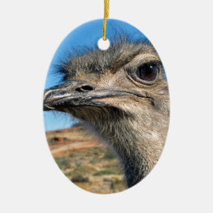 Harry the Happy Ostrich Keramikornament