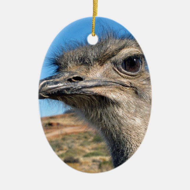 Harry the Happy Ostrich Keramikornament (Vorne)