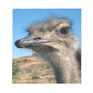 Harry the Happy Ostrich Notizblock