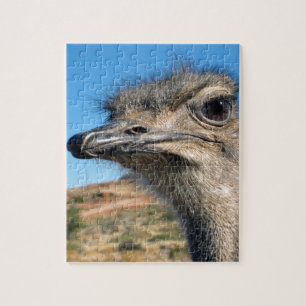 Harry the Happy Ostrich Puzzle