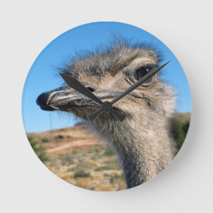 Harry the Happy Ostrich Runde Wanduhr