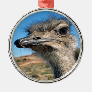 Harry the Happy Ostrich Silbernes Ornament