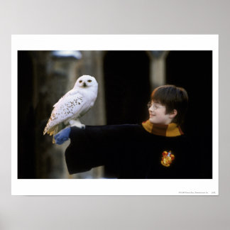 Harry und Hedwig 3 Poster