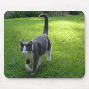 Harrypad 1 mousepad