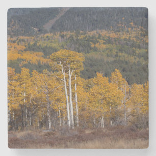 Hart Prairie Steinuntersetzer