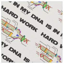 Harte Arbeit in meinem DNA-Replikationsbiologie-Sp Stoff