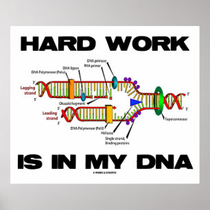 Harte Arbeit steckt in meiner DNA (DNA-Replikation Poster