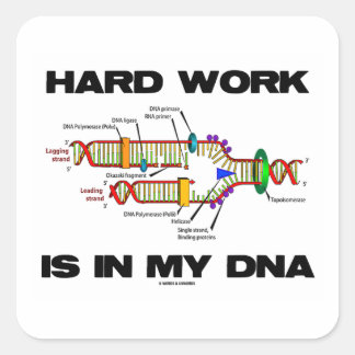 Harte Arbeit steckt in meiner DNA (DNA-Replikation Quadratischer Aufkleber