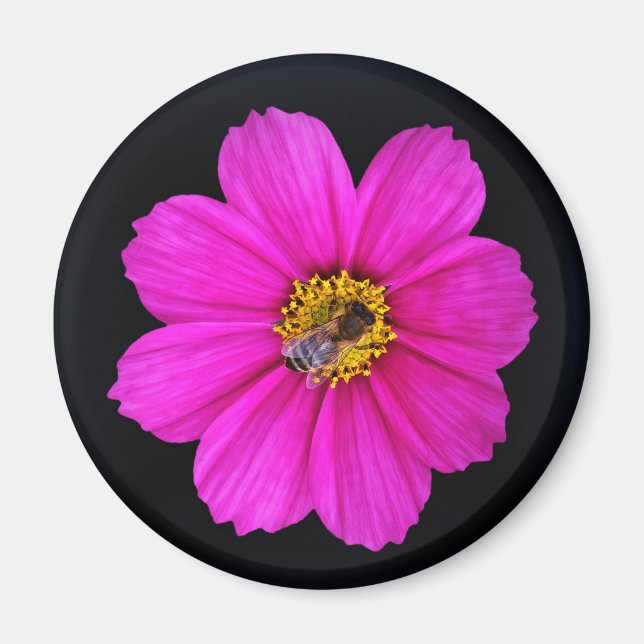 harte Biene Magnet (Vorne)