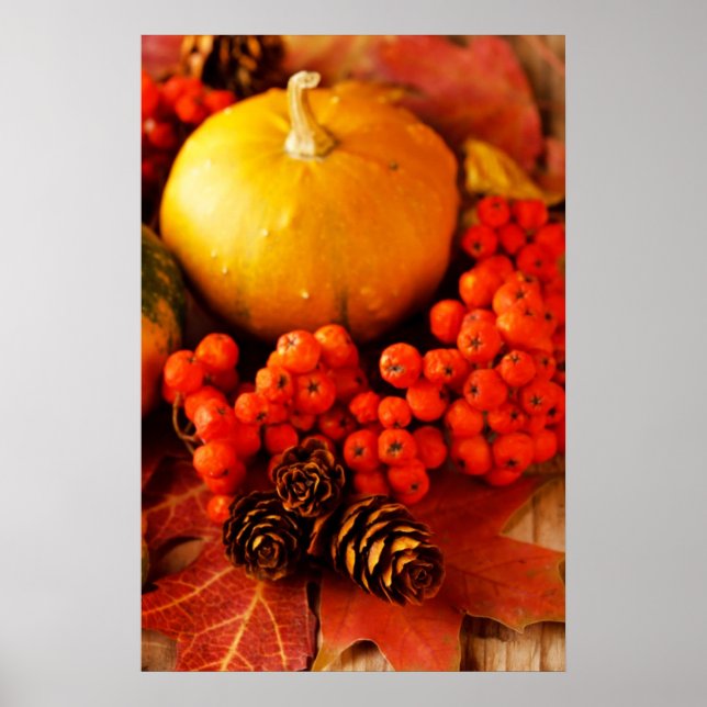 Harte Kürbis mit Herbstlauben 2 Poster (Vorne)