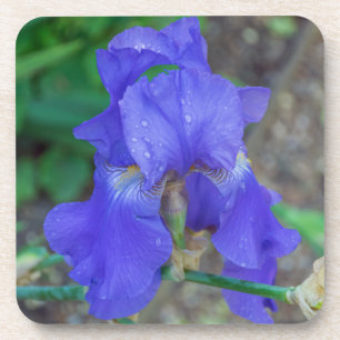 Harte PlastikUntersetzer der blauen Iris Untersetzer