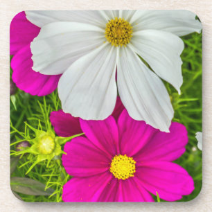 Harte PlastikUntersetzer der weißen und rosa Untersetzer
