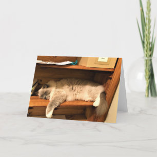 Harter Tag im Büro, Karte