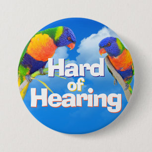 Hartes Hören Regenbogen Lorikeet Blauer Himmel Tau Button