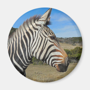 Hartmanns Zebra-Profil bei Fossil Rim Magnet