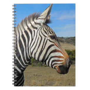 Hartmanns Zebra-Profil bei Fossil Rim Notizblock