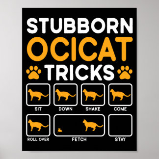 Hartnäckige Tricks Katzenbesitzer Ocicat Katzenper Poster