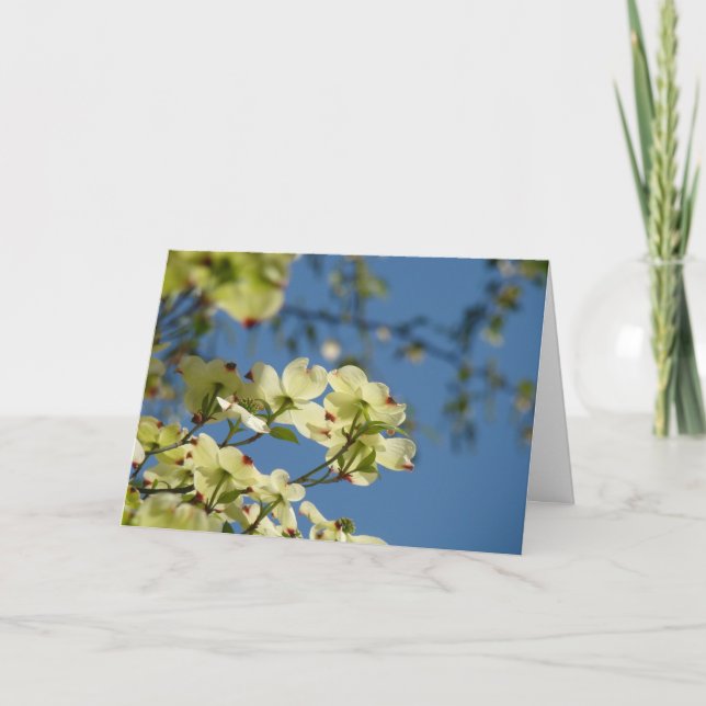 Hartriegel-Baum-Blumen-Gruß-Karten-blauer Himmel Karte (Vorderseite)