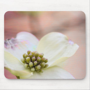 Hartriegel-Blüte Mousepad