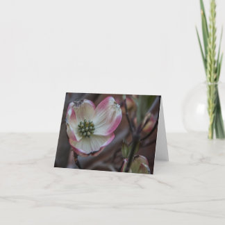Hartriegel-Blüte Notecard Karte