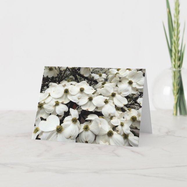 Hartriegel-Blütenblumengrußkarte Karte (Vorderseite)