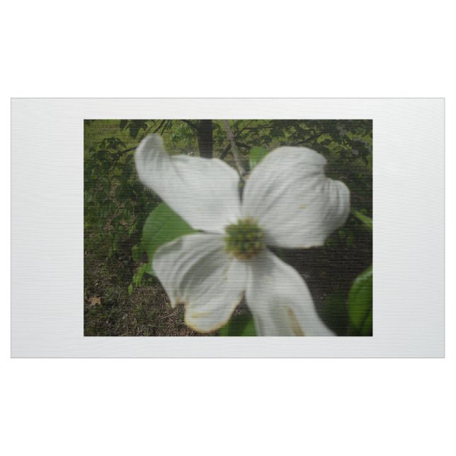 Hartriegel im Frühjahr Stoff (Yard (91,4 cm))
