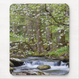 Hartriegelbäume Great Smoky Mountain, Tennessee Mousepad
