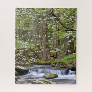 Hartriegelbäume Great Smoky Mountain, Tennessee Puzzle