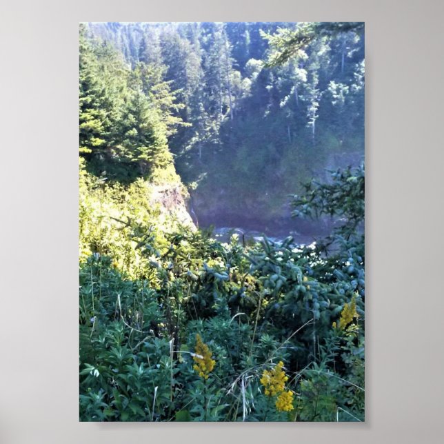 Hart's Cove, Oregon Coast Poster (Vorne)