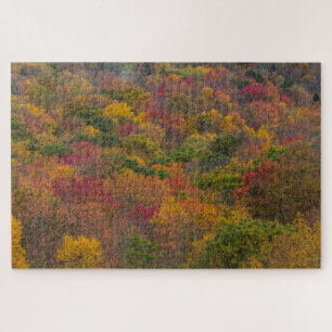 Hartwald in Randolph County, West Virginia Puzzle