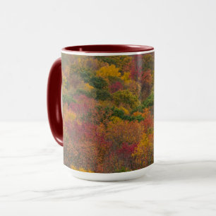 Hartwald in Randolph County, West Virginia Tasse