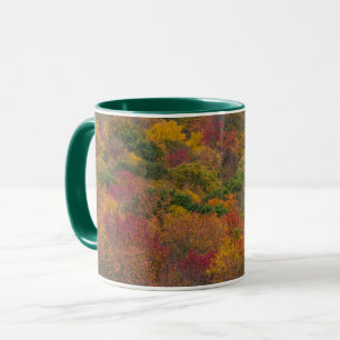 Hartwald in Randolph County, West Virginia Tasse